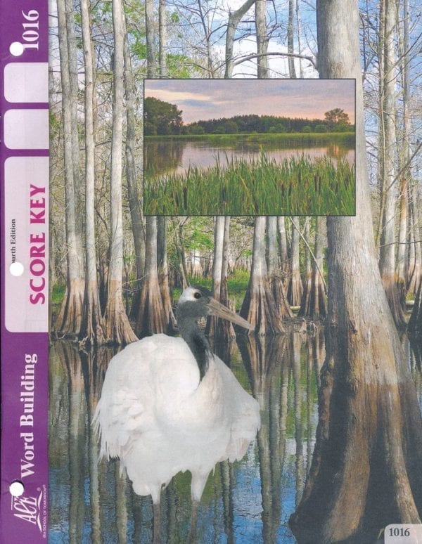 2nd Grade Word Building Answer Key 1016 by Accelerated Christian Education ACE