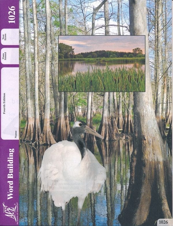 3rd Grade Word Building Pace 1026 by Accelerated Christian Education ACE