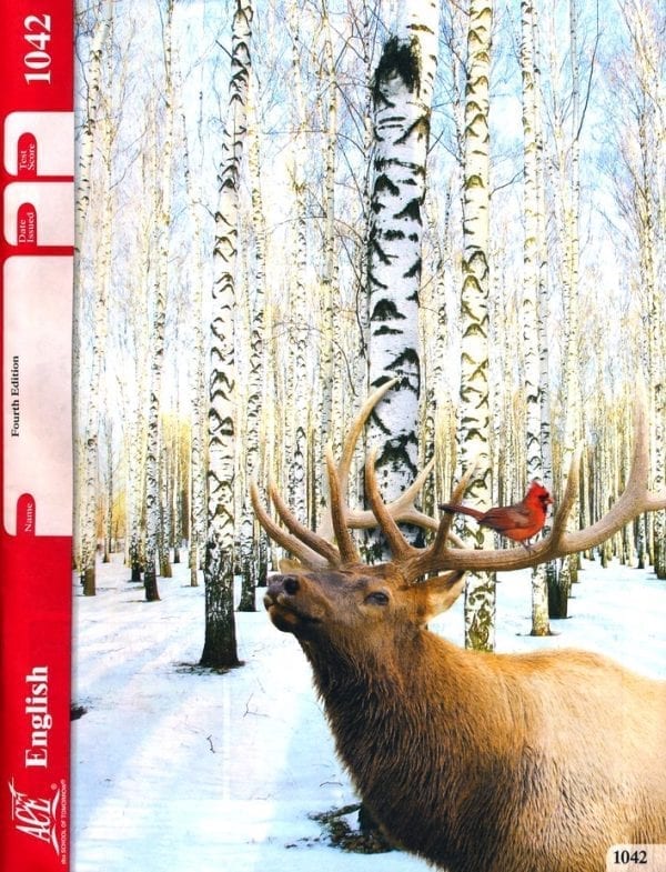 4th Grade English Pace 1042 by Accelerated Christian Education ACE