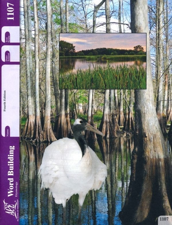 Etymology Pace 1107 from Accelerated Christian Education ACE