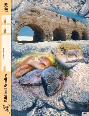 New Testament Survey Pace 1099 (4th Edition) by Accelerated Christian Education ACE