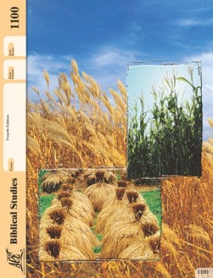 New Testament Survey Pace 1100 (4th Edition) by Accelerated Christian Education ACE