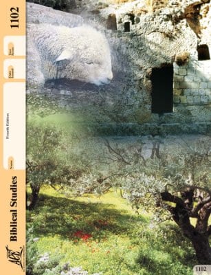 New Testament Survey Pace 1102 (4th Edition) by Accelerated Christian Education ACE