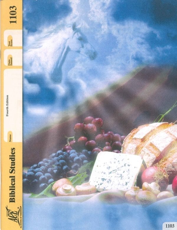 New Testament Survey Pace 1103 (4th Edition) by Accelerated Christian Education ACE