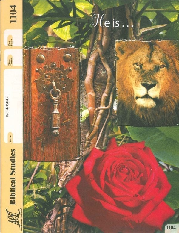 New Testament Survey Pace 1104 (4th Edition) by Accelerated Christian Education ACE