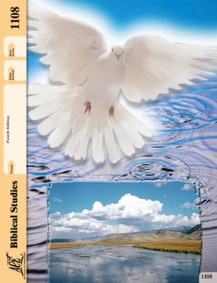 New Testament Survey Pace 1108 (4th Edition) by Accelerated Christian Education ACE