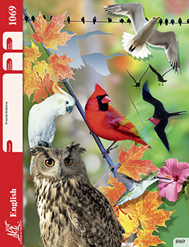 6th Grade English Pace 1069 by Accelerated Christian Education ACE