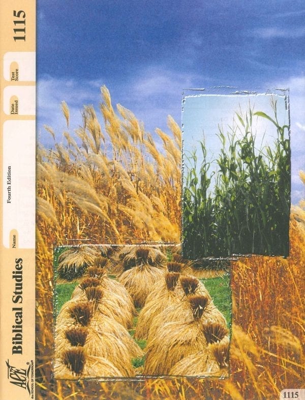 Old Testament Survey Pace 1115 (4th Edition) by Accelerated Christian Education ACE