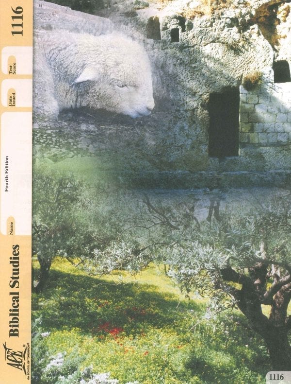 Old Testament Survey Pace 1116 (4th Edition) by Accelerated Christian Education ACE