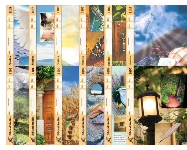 New Testament Survey Complete Set (4th Edition) by Accelerated Christian Education ACE