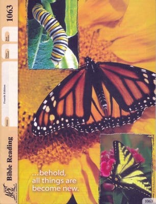 6th Grade Bible Reading (Pace 1063) from ACE-Accelerated Christian Education