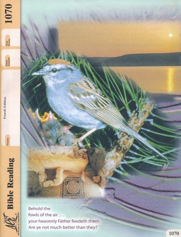 6th Grade Bible Reading (Pace 1070) from ACE-Accelerated Christian Education