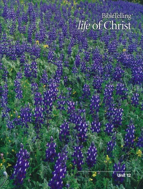 BibleTelling® Life of Christ Unit 12