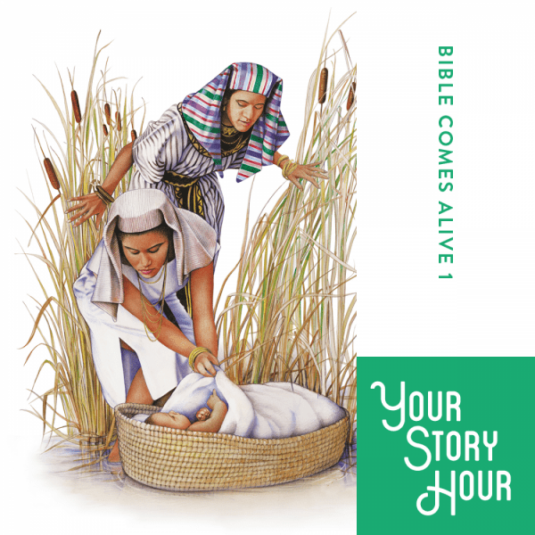 Bible Comes Alive Volume 1 by Your Story Hour®