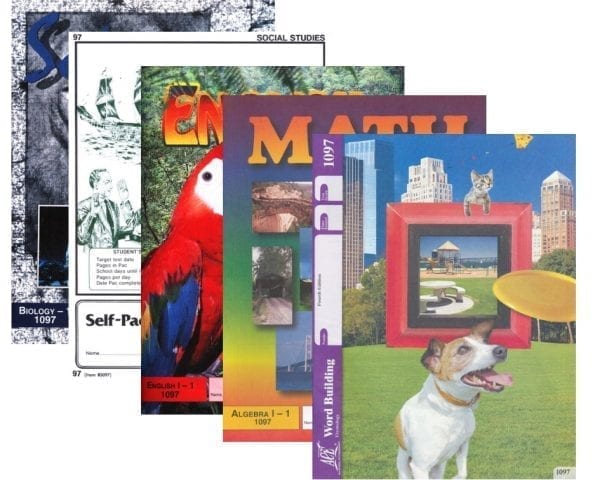 9th ACE grade set world history