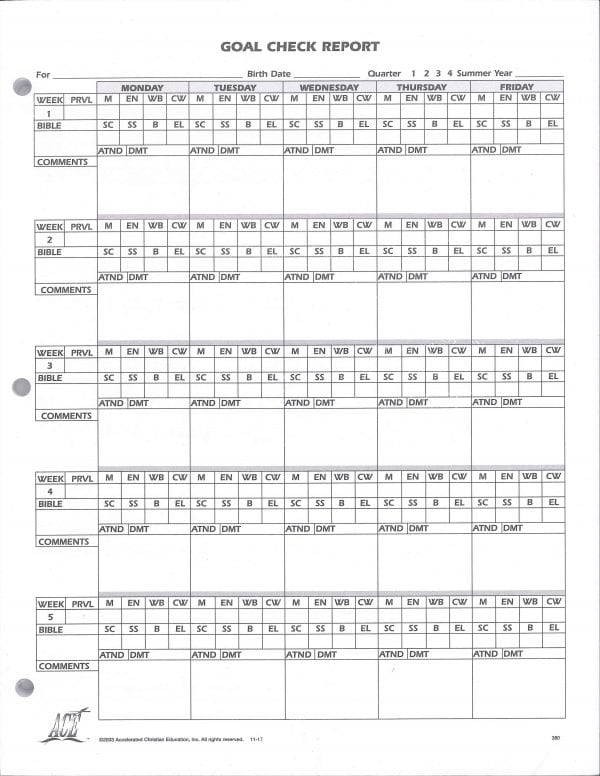 Goal Check Report from ACE