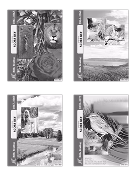 6th Grade Bible Reading Answer Key Set by ACE School of Tomorrow